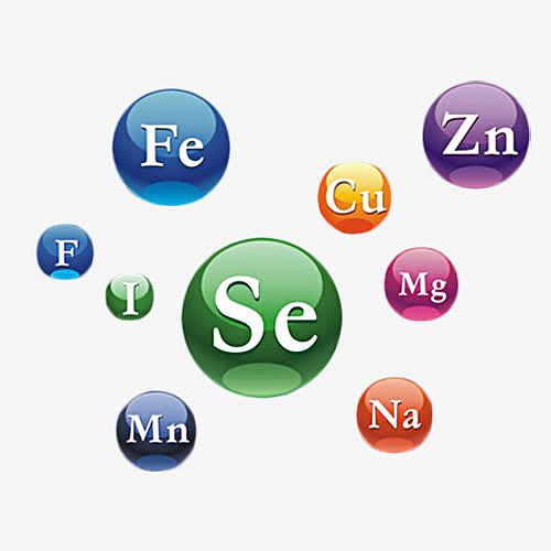 钙铁锌 微量元素符号