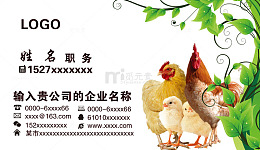 养鸡名片