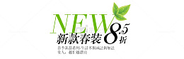 新款春装