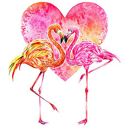 爱心火烈鸟