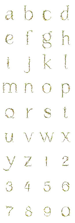 卡通树藤英文字体花体