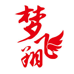 乘梦飞翔