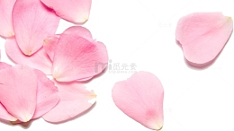 植物小清新唯美粉色花瓣