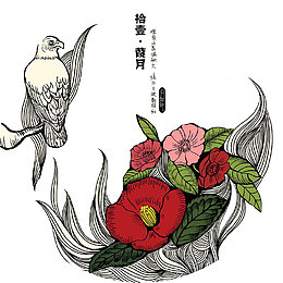 山茶花宣传图