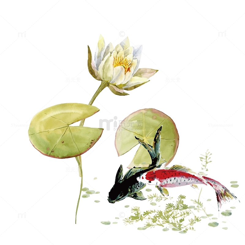 古典浮世绘锦鲤背景