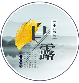 中国风白露海报
