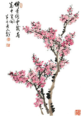 国画杏花