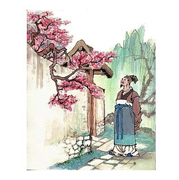 古风插画杏花