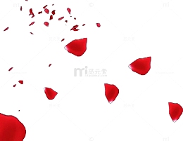 红色的玫瑰花花瓣飘落天空
