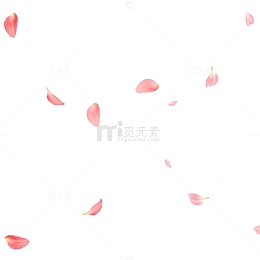 玫瑰花花瓣