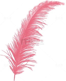 羽毛翅膀素材 粉色羽毛