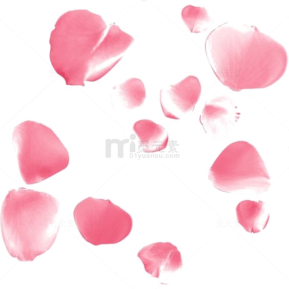 水彩粉色花瓣
