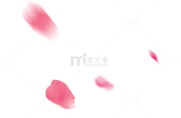 粉色花瓣