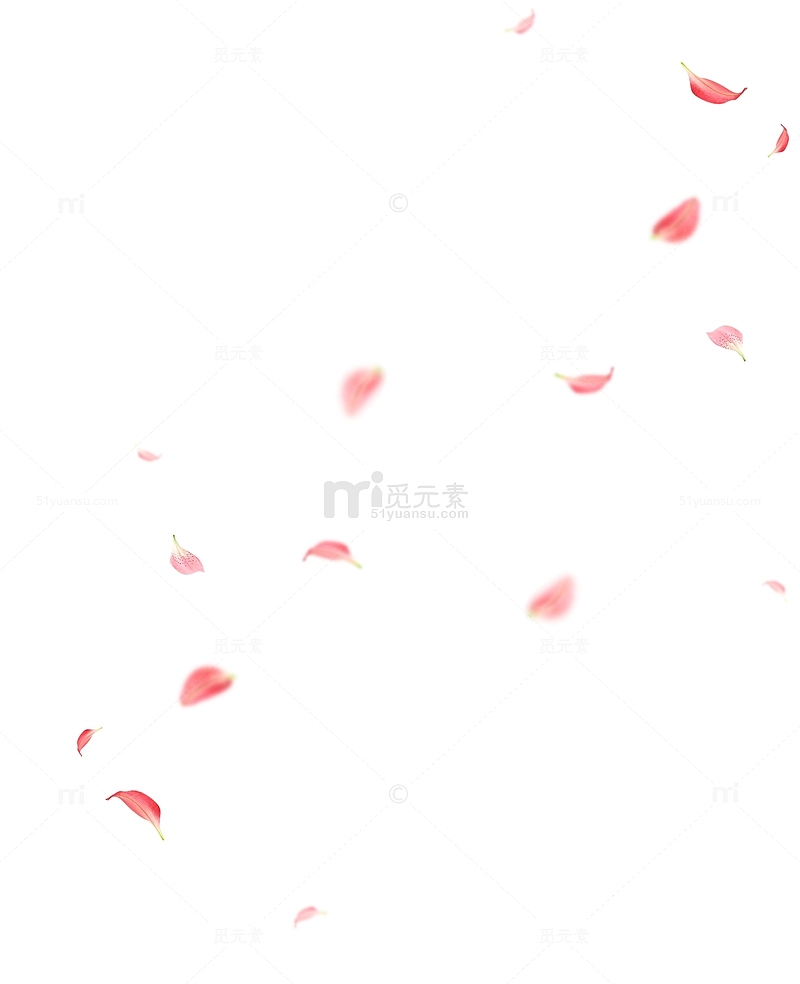粉色花瓣飘落漂浮素材