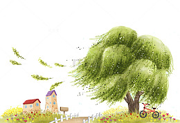 杨柳依依郊外生活