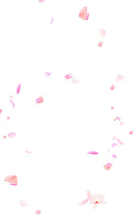 粉色花瓣