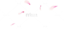 飘落的花瓣