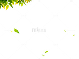 绿叶