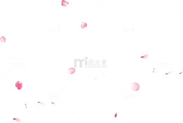 漂亮的花瓣