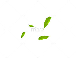 翠绿的叶子