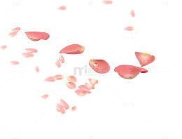 漂浮的花瓣