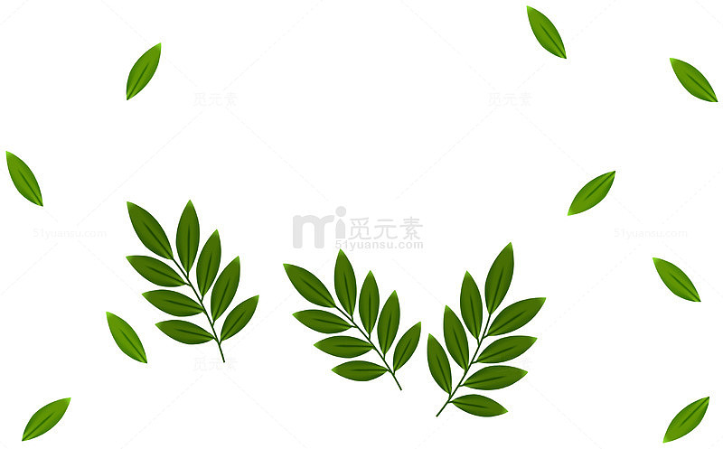 飘落的树叶
