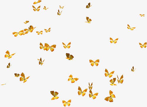 一群飞舞的黄色蝴蝶