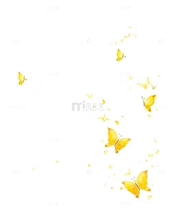 飞舞的蝴蝶