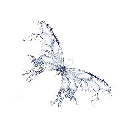 破茧成蝶水蝶