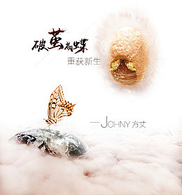 装饰