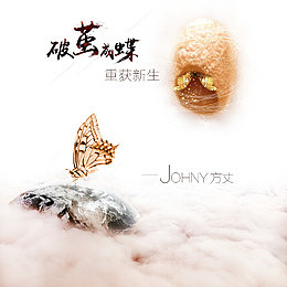 破茧成蝶海报