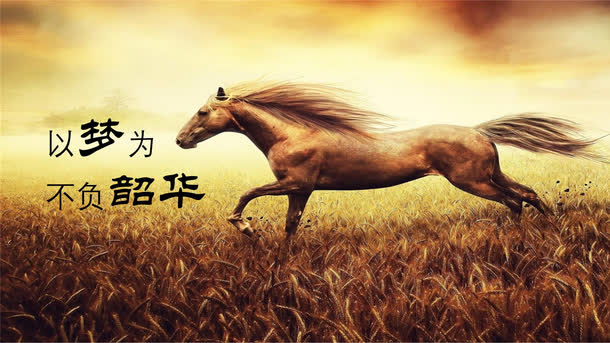 以梦为马,不负韶华