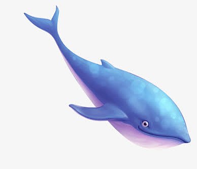 蓝色海底动物卡通鲨鱼