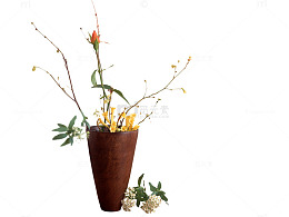 植物复古花盆花枝效果