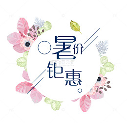 小清新风格暑价钜惠艺术字矢量图