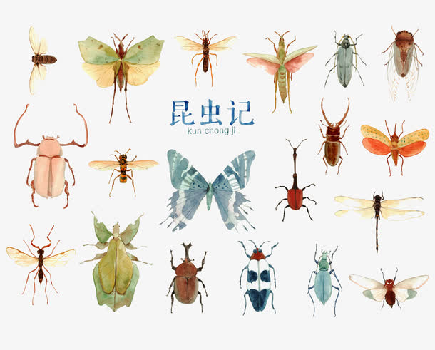 昆虫合集素材免费下载_觅元素