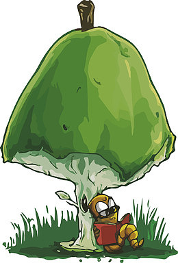 苹果下看书的虫子