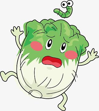 手绘白菜人物png卡通白菜png食物图标蔬菜矢量图 清新白菜png手绘白菜