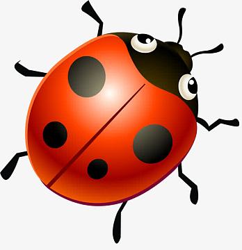 可爱虫子素材_可爱虫子图片元素-觅元素