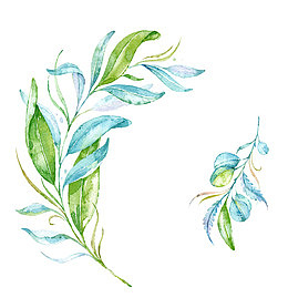 蓝绿色手绘水彩柳条枝