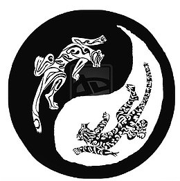太极黑白双豹