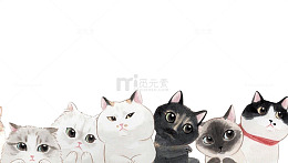 猫咪简图