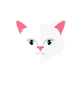 白色猫咪头像