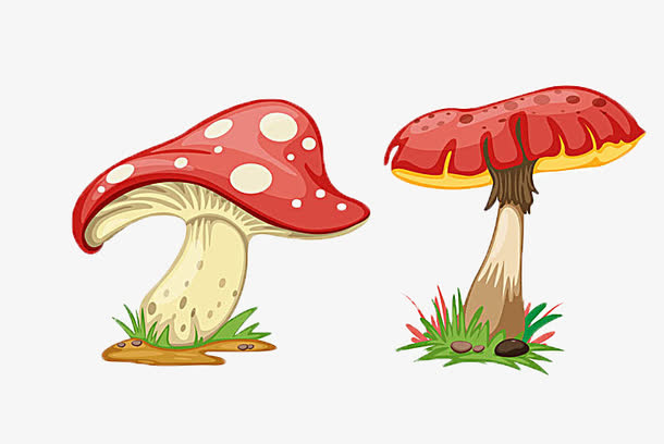 卡通蘑菇矢量图片