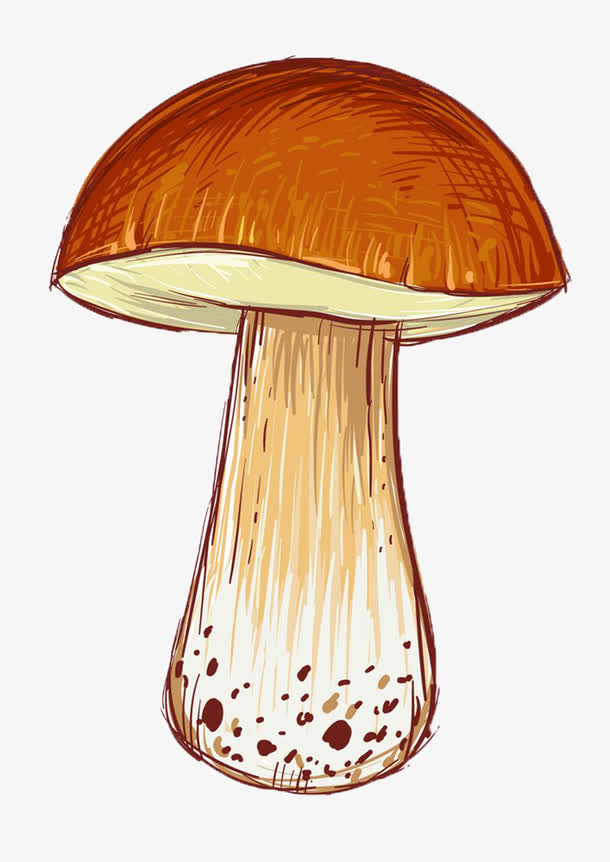 手绘蘑菇
