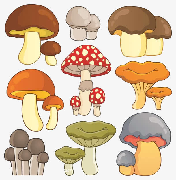 蘑菇可爱卡通彩色