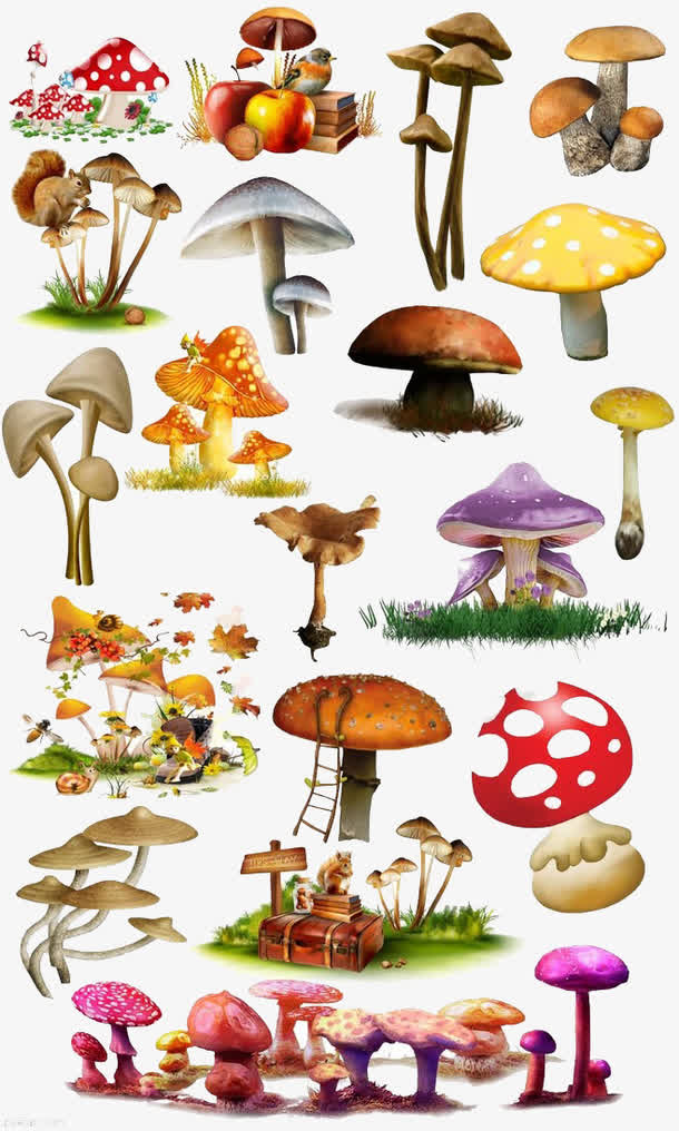 蘑菇素材免费下载_觅元素