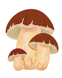 卡通蘑菇