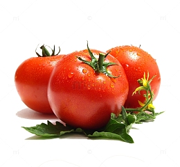 新鲜西红柿图片素材