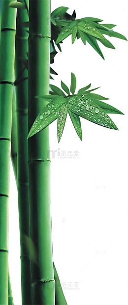 翠绿竹林